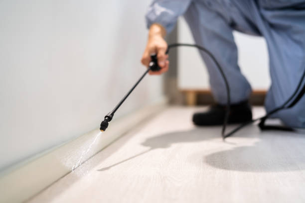 Licensed Fumigation Services service in Masury, OH - Nex Pest Control
