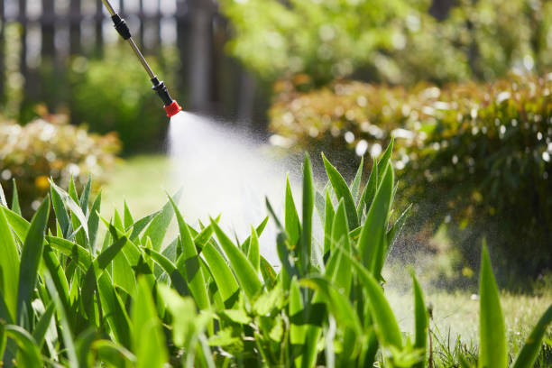 24/7 Emergency Fumigation Services experts in Masury, OH